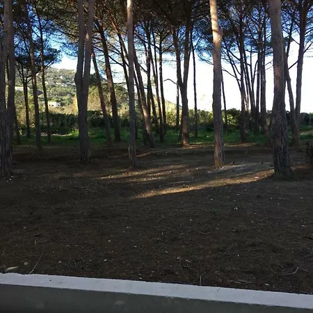 Apartment T2 Oasis Calvi (Corsica)
