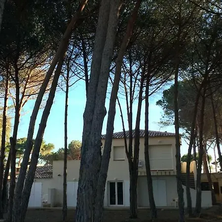 Appartamento T2 Oasis Calvi (Corsica)
